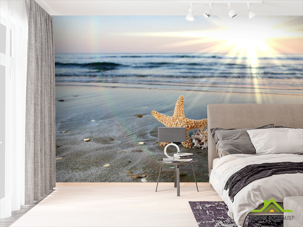 Фотошпалери Мушлі на березі