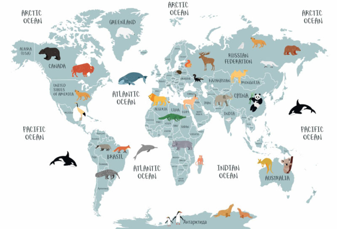 Шпалери в дитячу Карта