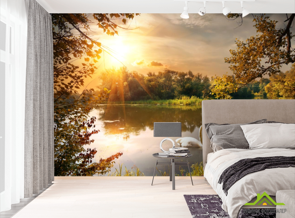 выбрать Фотошпалери лебідь на озері Фотошпалери Природа на стіну