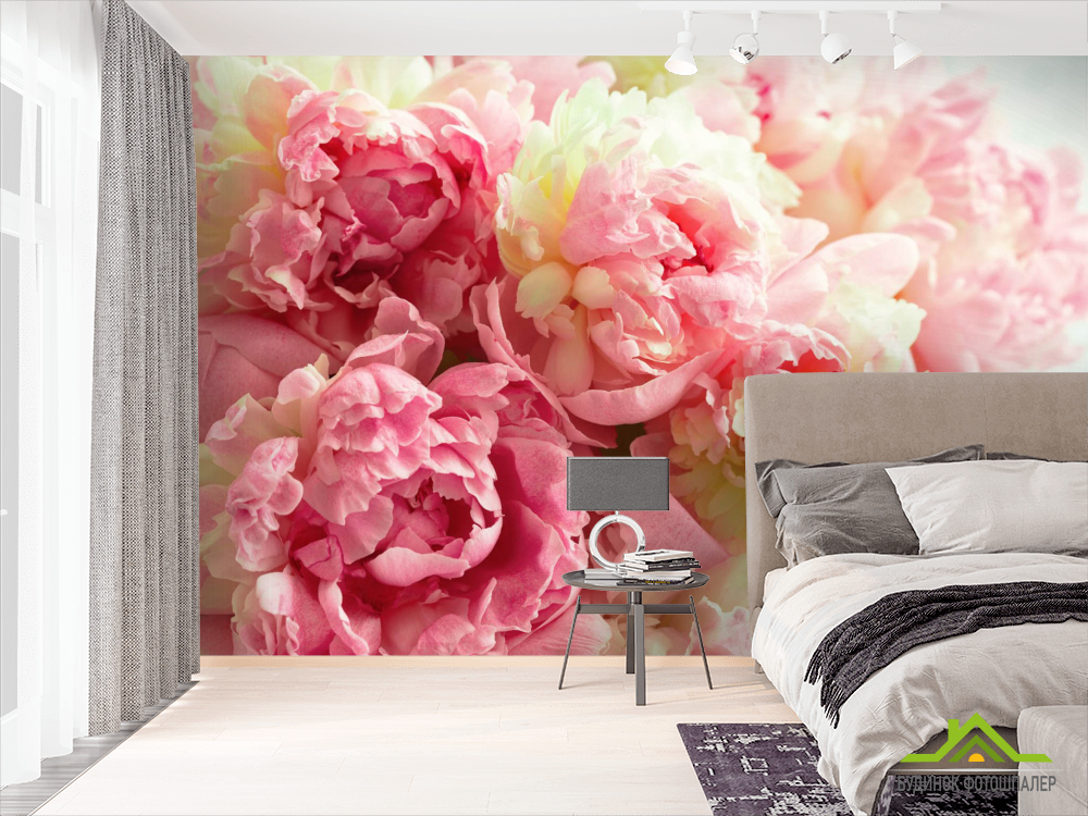 Фотошпалери півонії яскраві