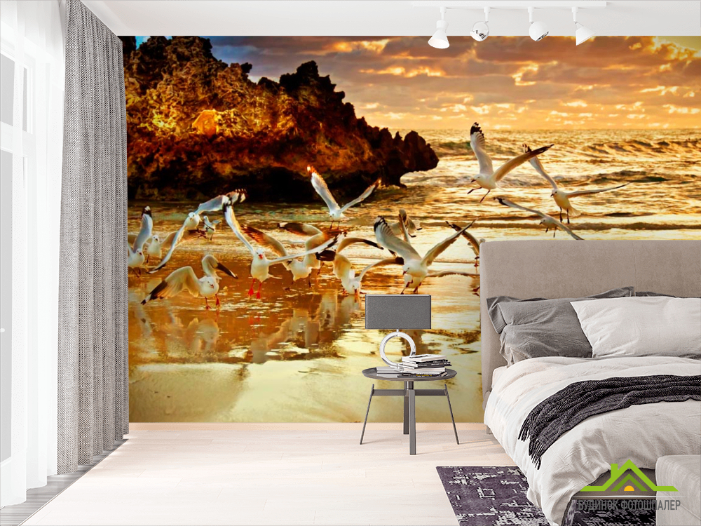 Фотообои Чайки