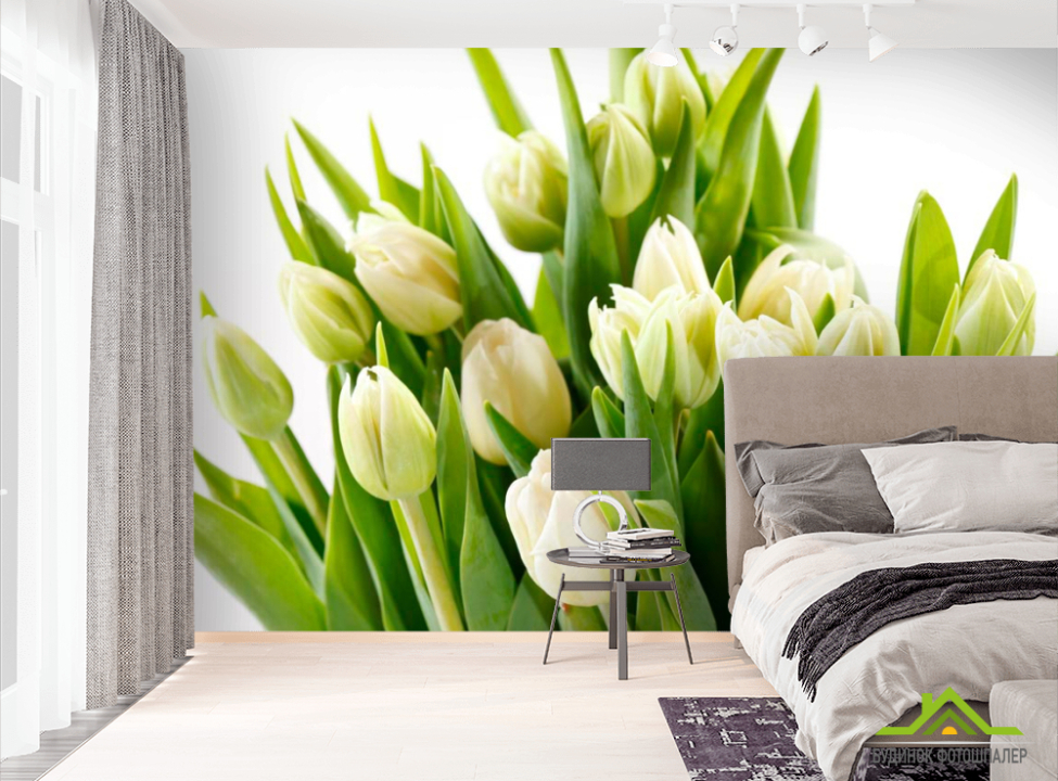 выбрать Фотошпалери Тюльпани Фотошпалери Тюльпани на стіну