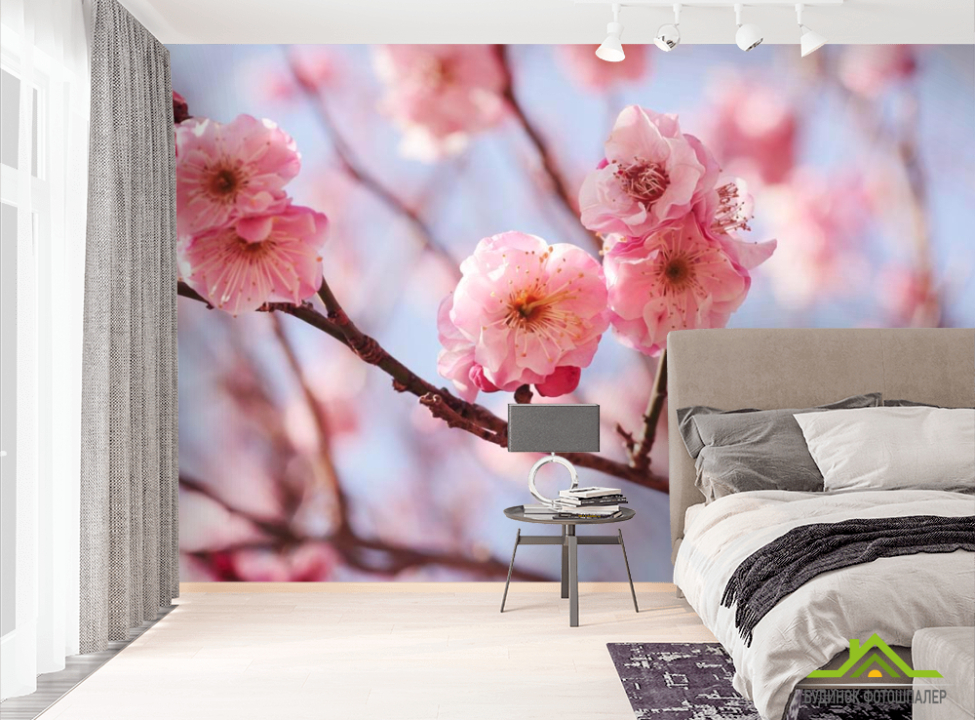 выбрать Фотошпалери Рожеві вишневі суцвіття Фотошпалери Вишня на стіну