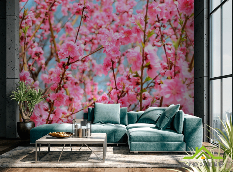 выбрать Фотошпалери Кипарис рожевий Фотошпалери Рожеві дерева на стіну
