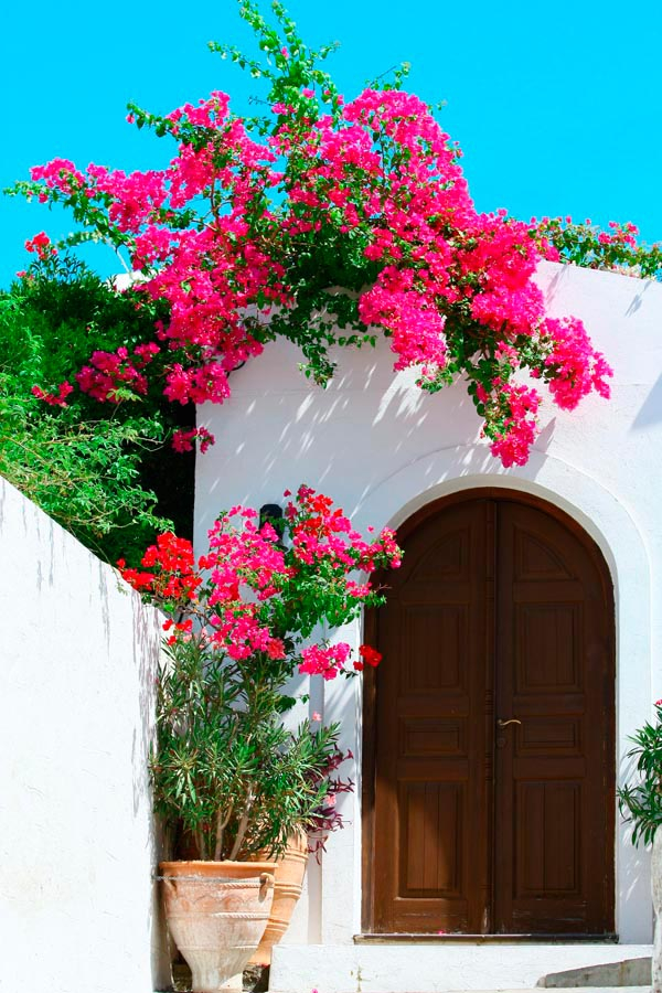 Фотошпалери Арка з квітами