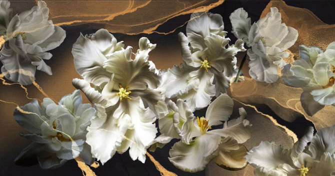 Фотошпалери махрові тюльпани