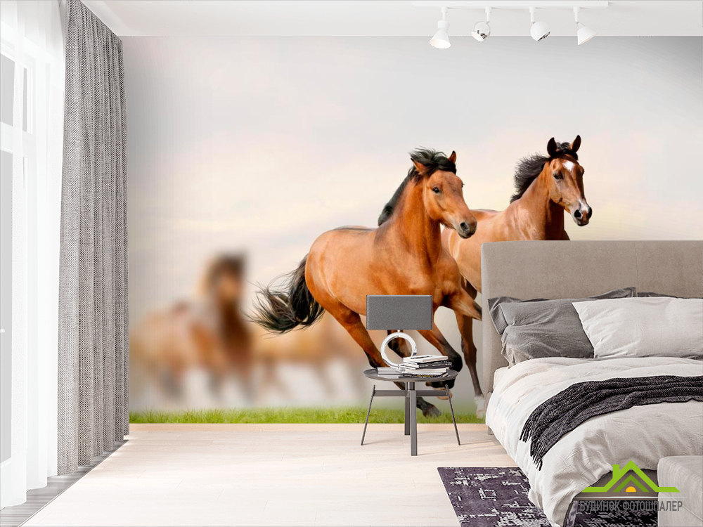 Фотошпалери Скачуть коні