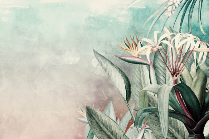 Фотообои Цветы и листья тропические