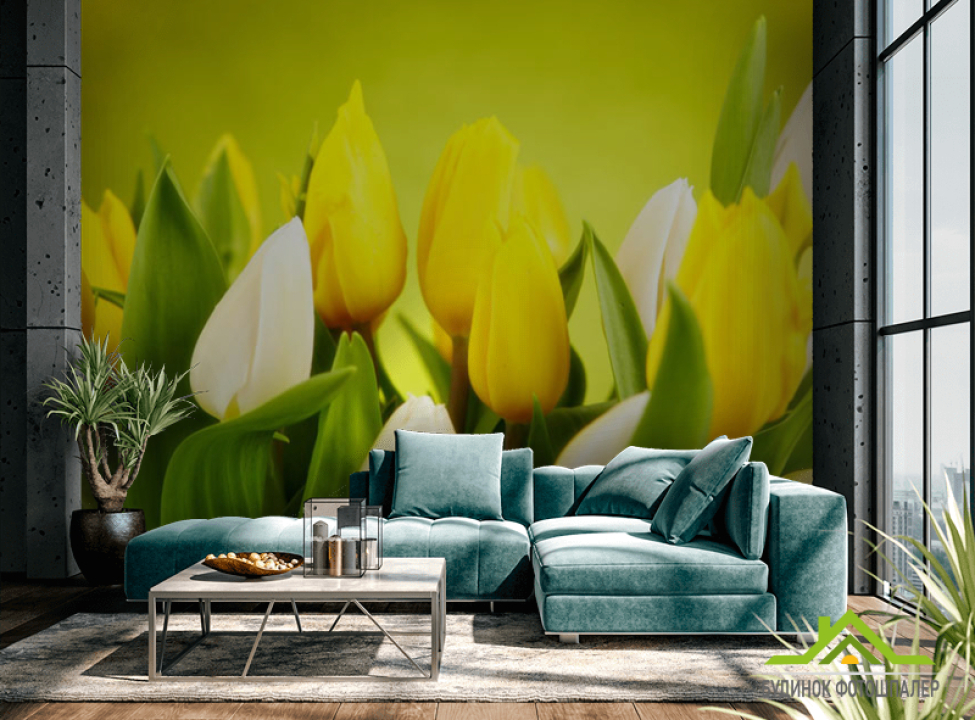 выбрать Фотошпалери тюльпани Фотошпалери різні на стіну