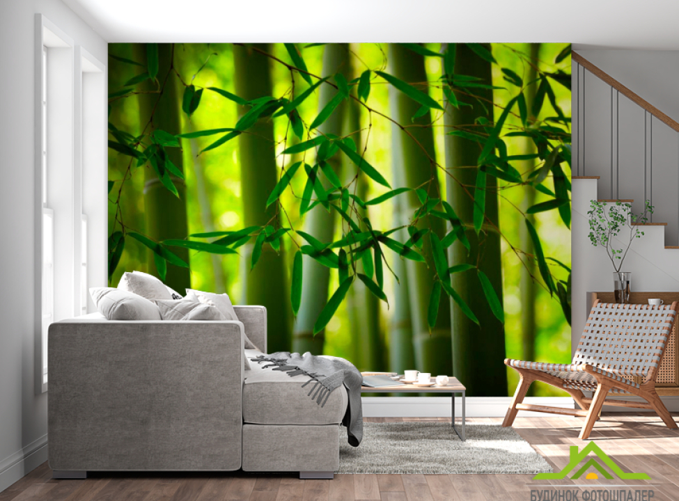 выбрать Фотообои Бамбук и листочки Фотообои лес на стену