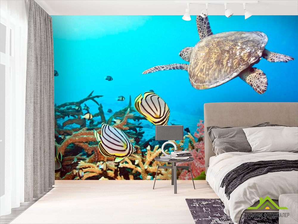 Фотошпалери Черепашка і рибки