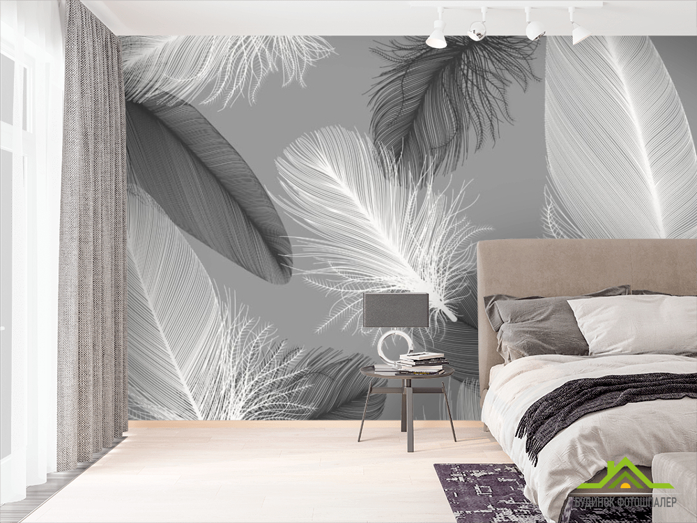 Фотошпалери в стилі Модерн, пір'я