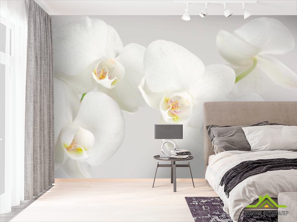 Фотошпалери Орхідеї білосніжні цвітуть