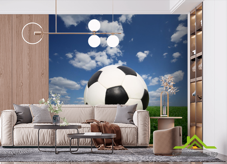 Фотообои мяч на траве