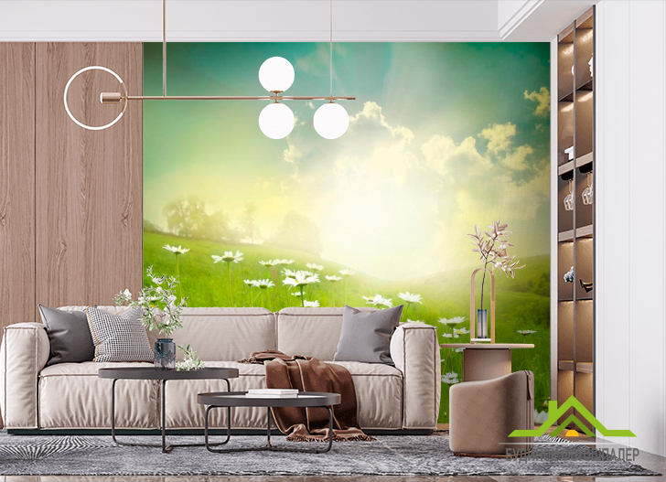 Фотошпалери Ромашки, поле