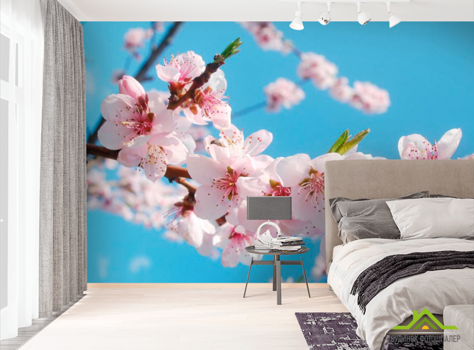 выбрать Фотообои Цветы персика Фотообои Цветы на стену