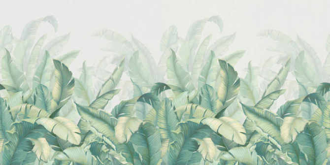 Фотообои Банановые листья