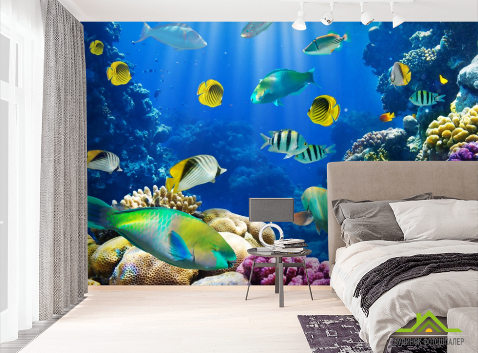выбрать Фотошпалери рибки Фотошпалери Природа на стіну