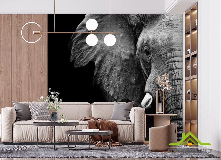 Фотошпалери Слон в темряві