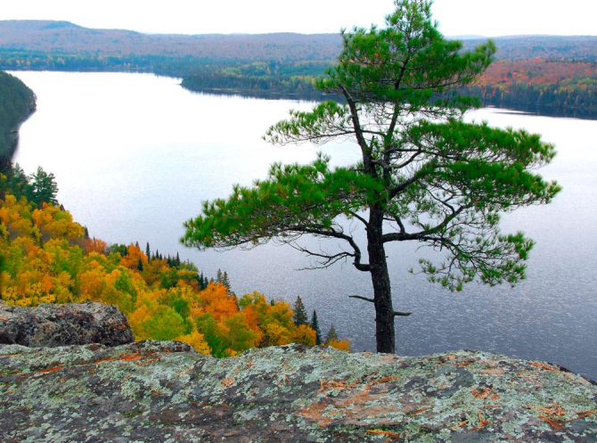 Фотошпалери Скеля, вода, дерево