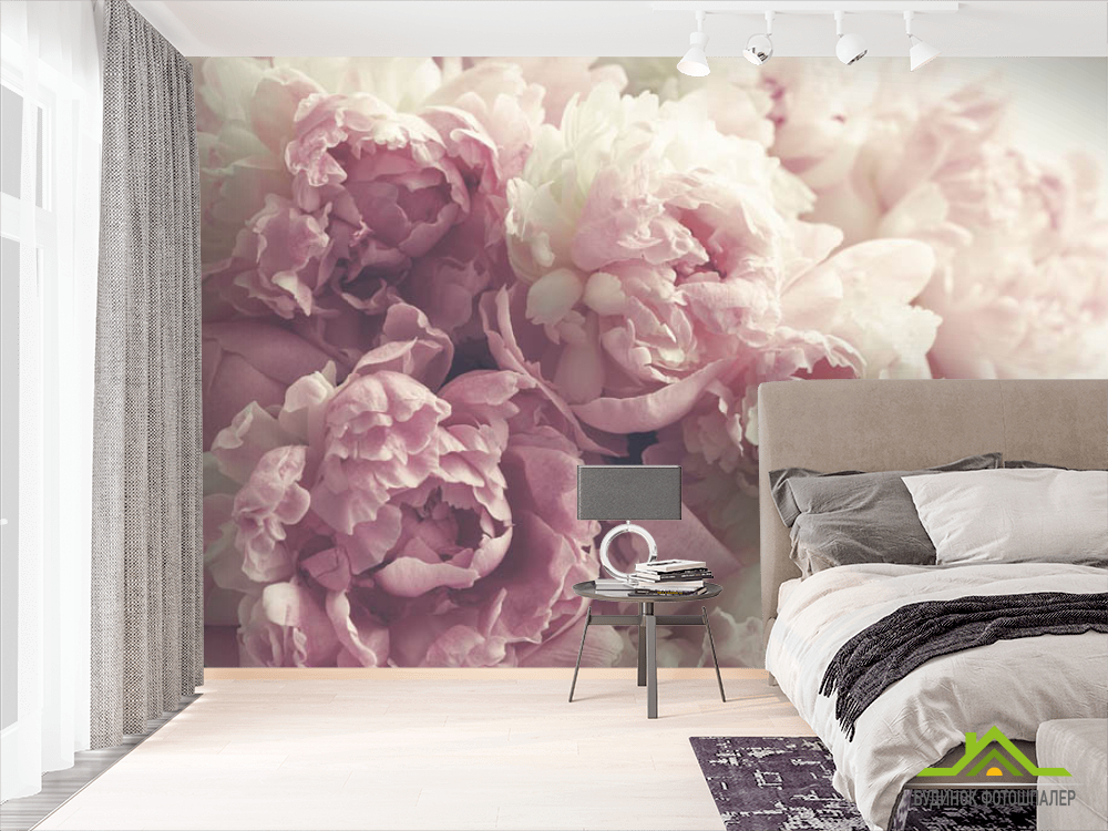 Фотошпалери Рожеві півонії