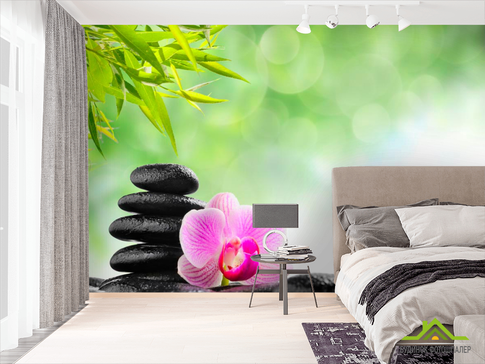 Фотошпалери Орхідея, зелень, камені