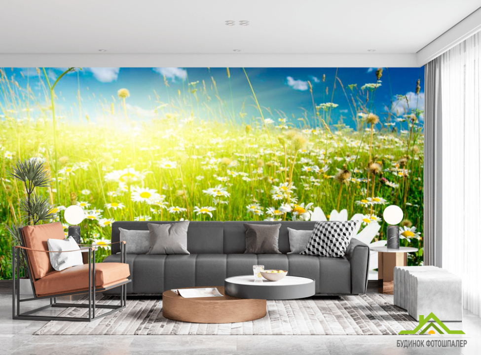 выбрать Фотообои Восход в ромашковом поле Фотообои Ромашки на стену
