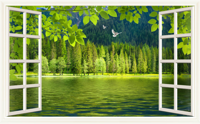Фотошпалери Ліс за вікном