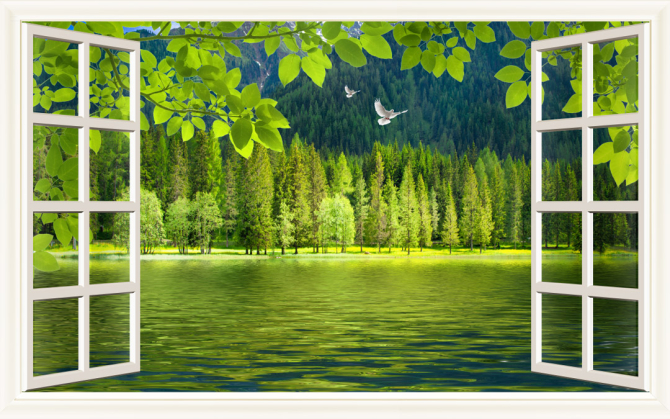 Фотошпалери Вигляд з вікна на ліс