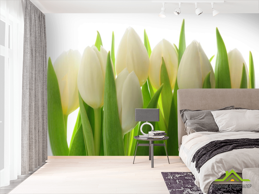 Фотошпалери білі тюльпани