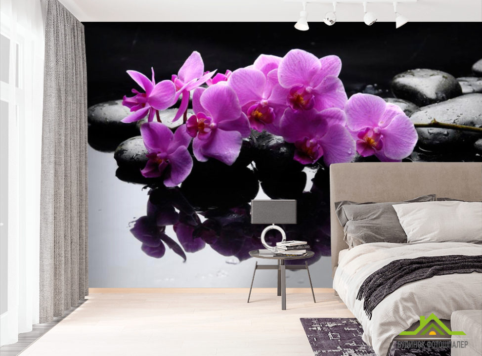 выбрать Фотошпалери Гілка орхідеї на каменях Фотошпалери Орхідеї на стіну