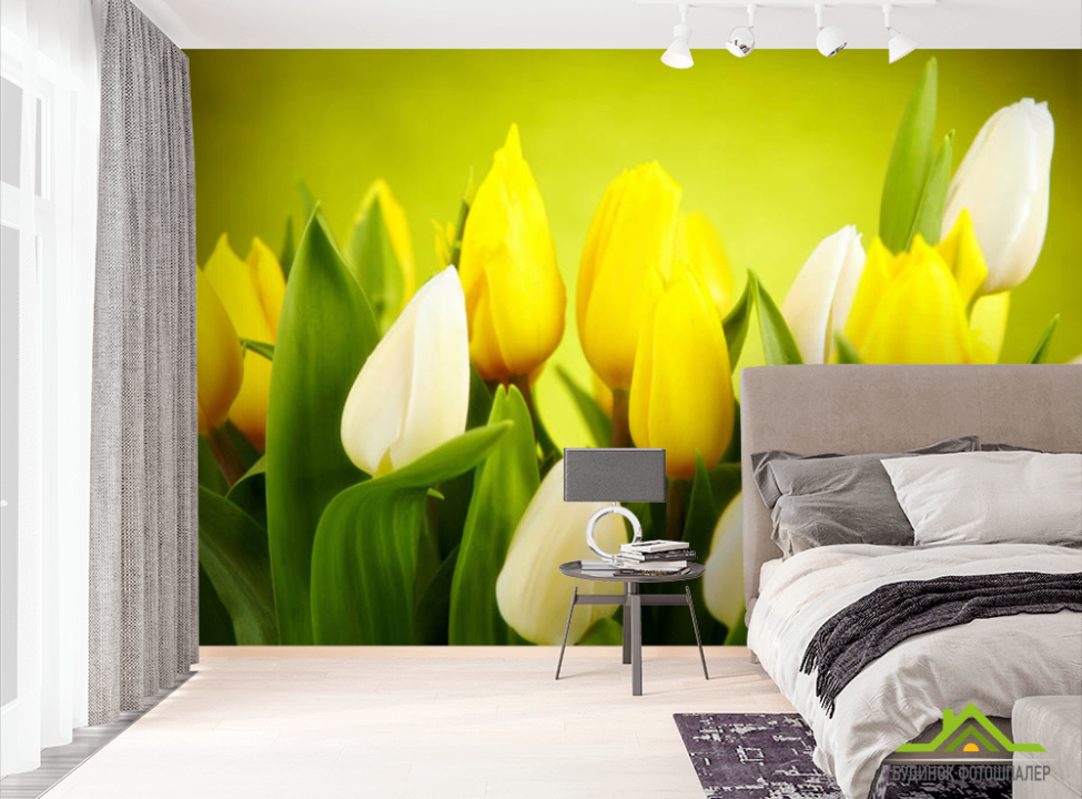 выбрать Фотошпалери тюльпани Фотошпалери різні на стіну