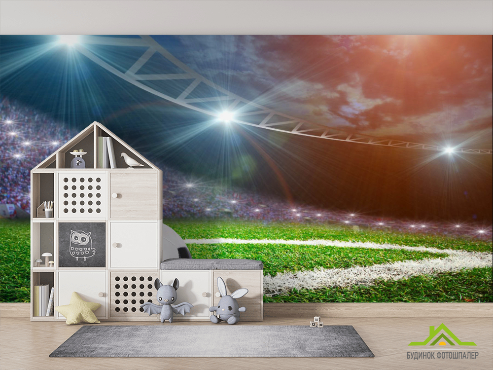 Фотошпалери М'яч на полі