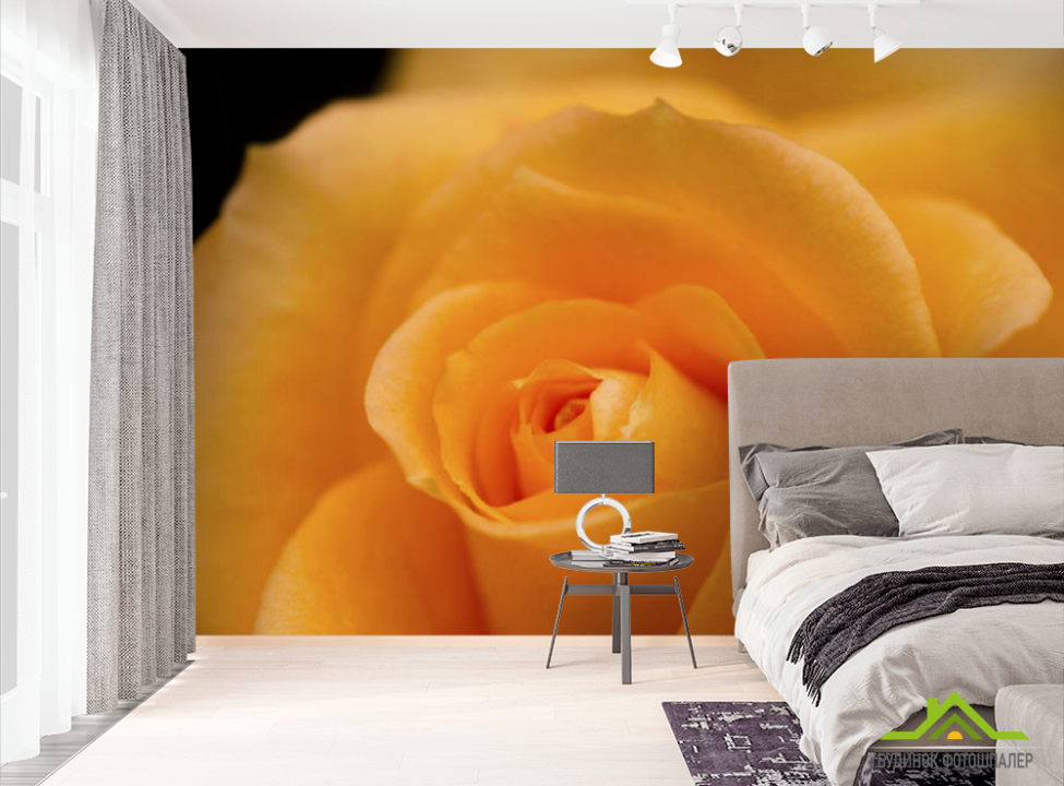 выбрать Фотошпалери помаранчева троянда Фотошпалери різні на стіну