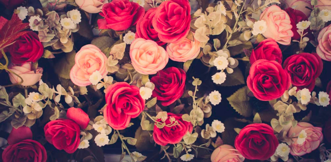 Фотообои Розы