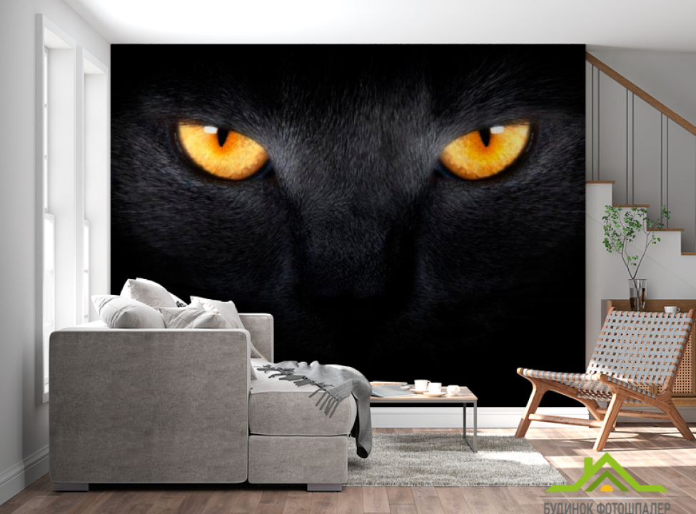 выбрать Фотообои Черная кошка Фотообои Коты на стену