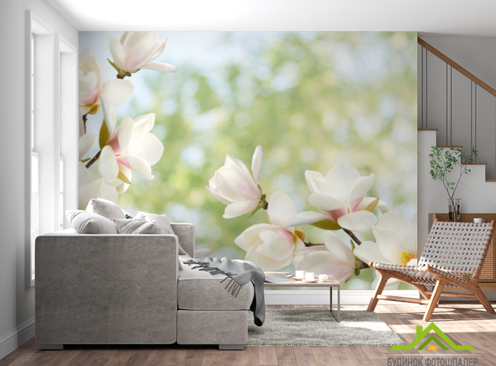 выбрать Фотообои Цветы магнолии Фотообои Цветы на стену