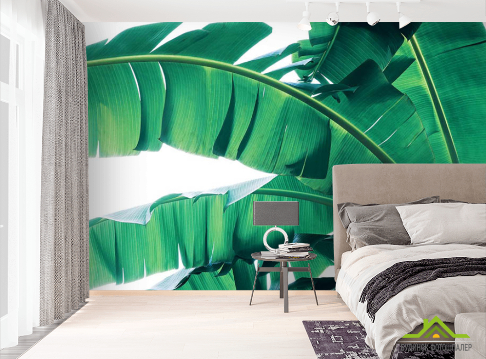 выбрать Фотообои Банановые листья Фотообои тропические листья на стену
