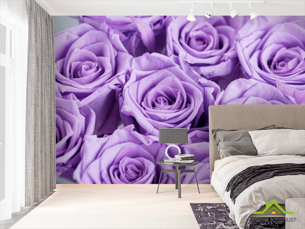 Фотошпалери фіолетові троянди