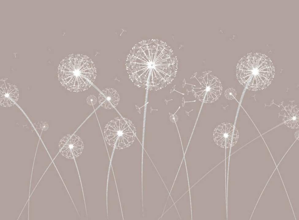 выбрать Фотошпалери кульбаби Фотошпалери різні на стіну