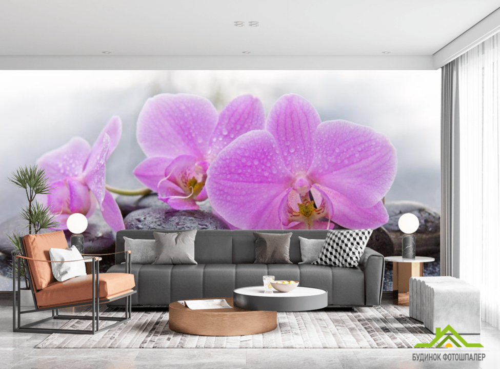 выбрать Фотообои камни и орхидеи Фотообои Орхидеи на стену