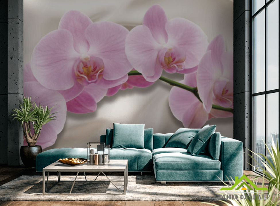 выбрать Фотообои орхидея Фотообои разные на стену
