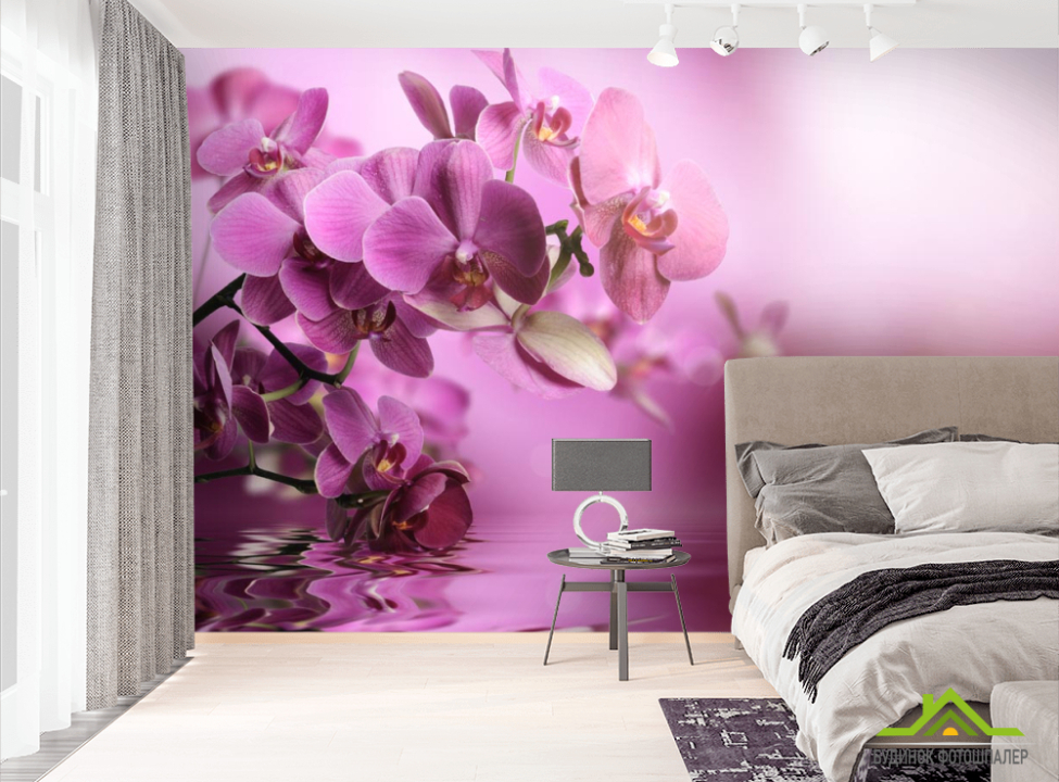 выбрать Фотошпалери рожеві орхідеї над водою  на стіну