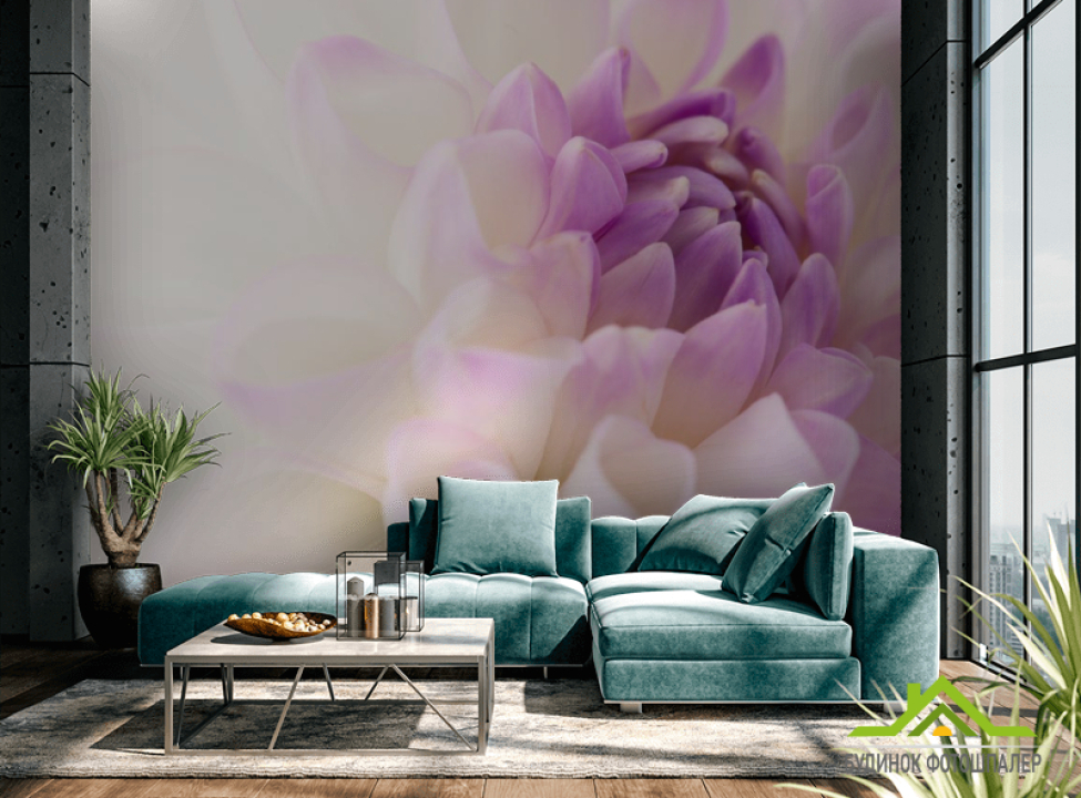 выбрать Фотообои бело-сиреневый цветок Фотообои Цветы на стену
