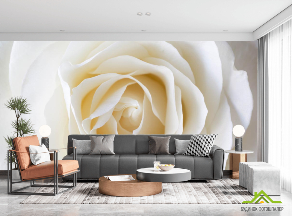 выбрать Фотообои белая роза Фотообои Розы на стену