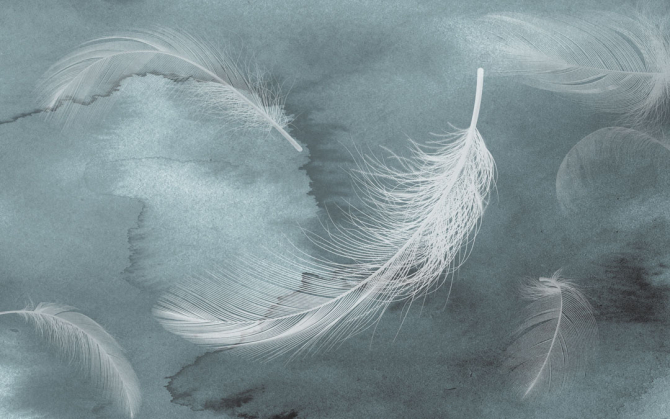 Фотошпалери Пір'я на акварельному тлі