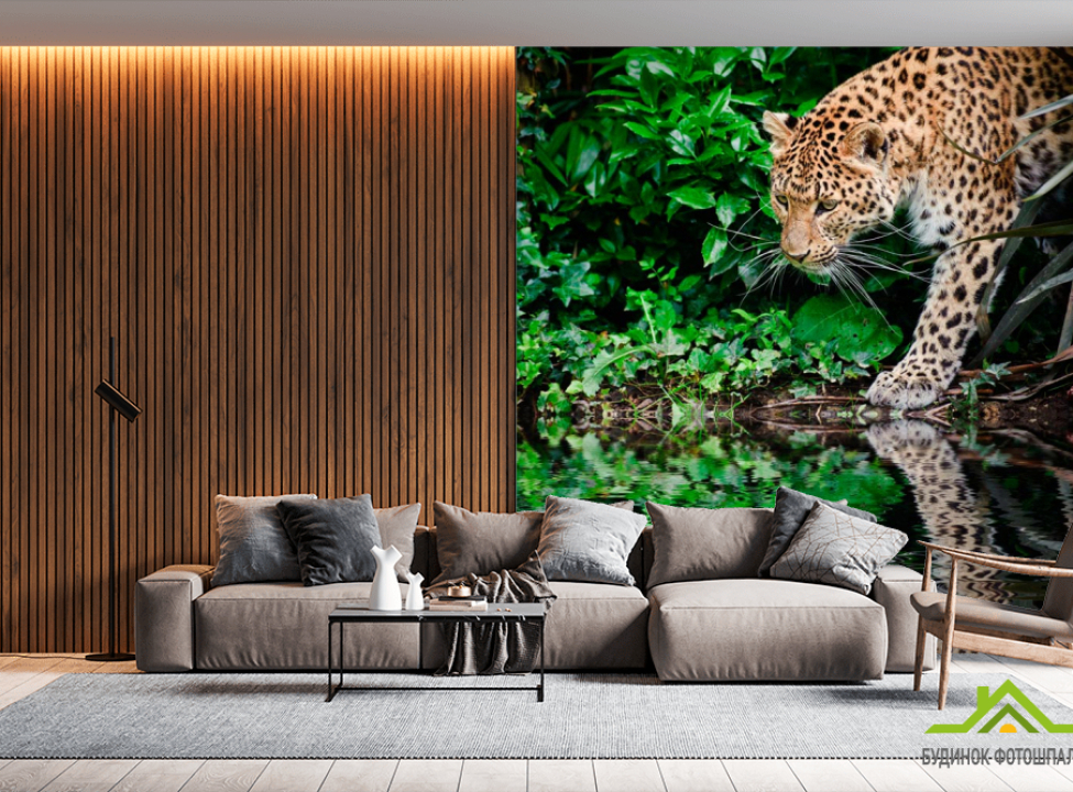 выбрать Фотообои Гепард у воды Фотообои Гепарды на стену