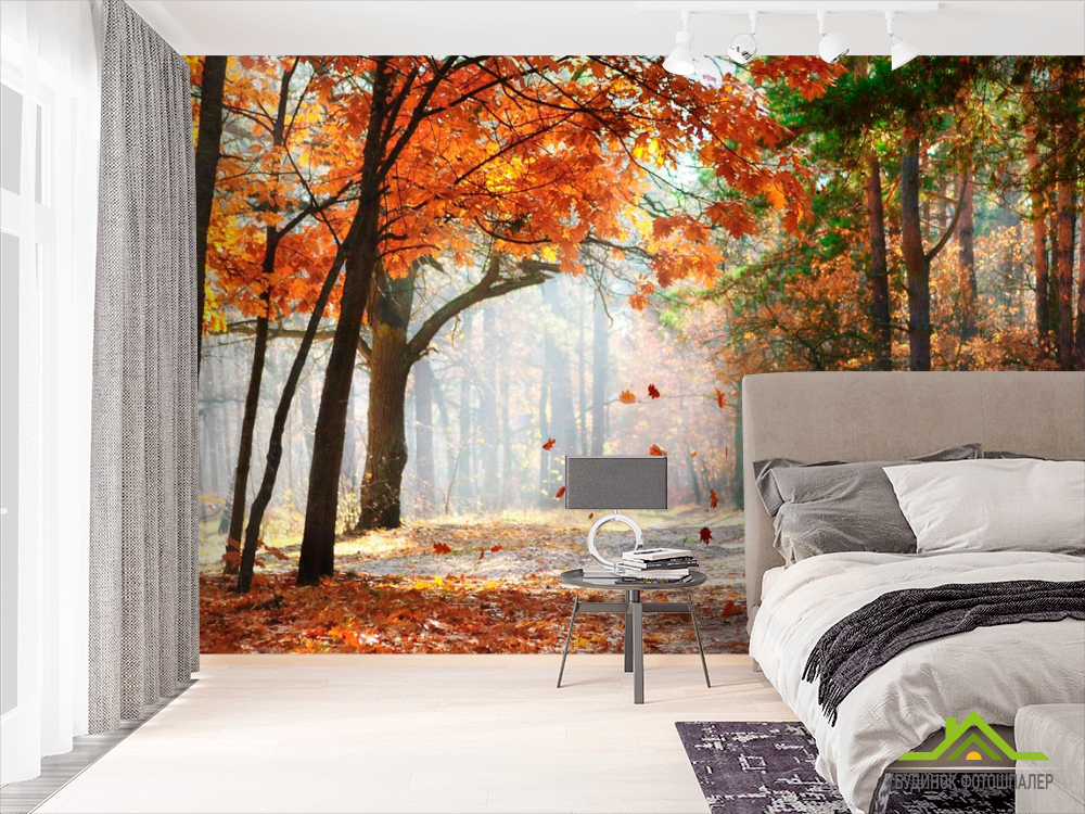 Фотообои Падают листья