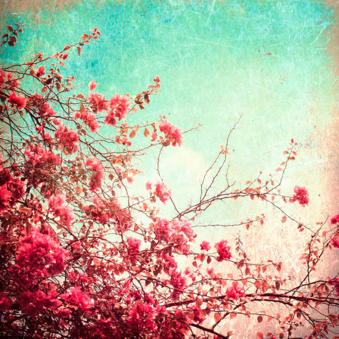 Фотообои Цветы стремятся в небо