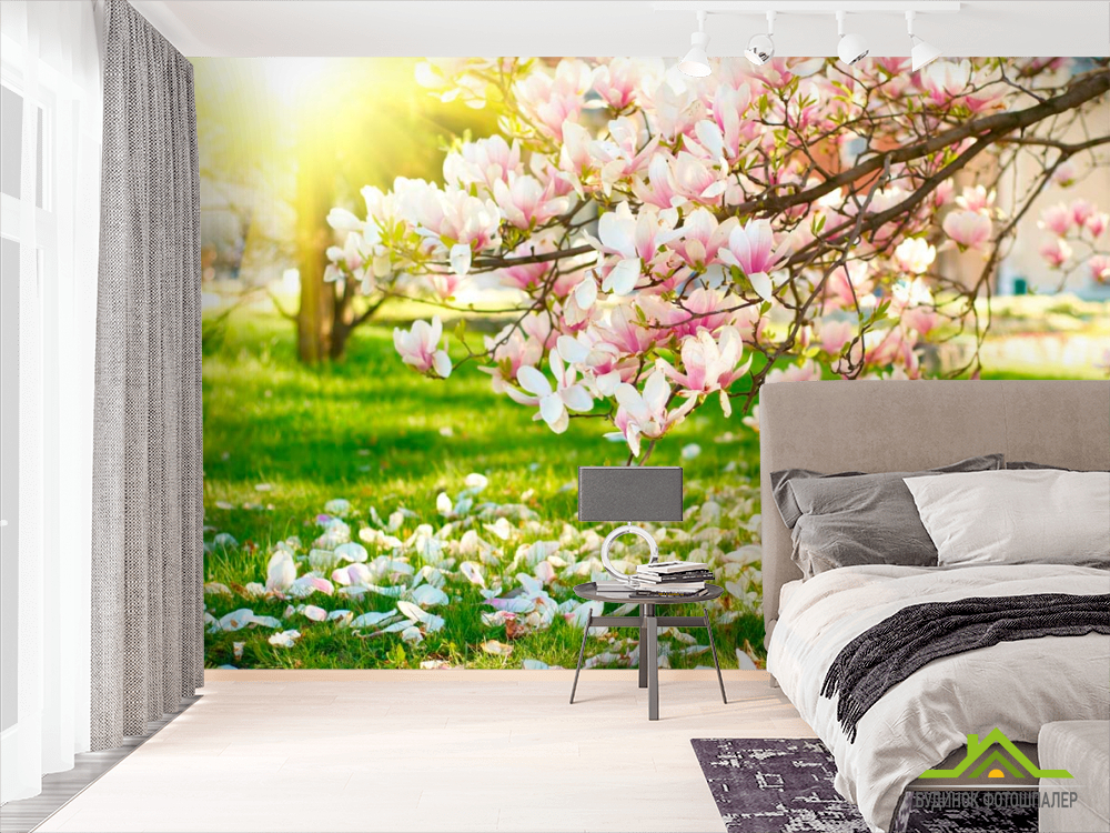 Фотошпалери Відцвіли вишневі квіти